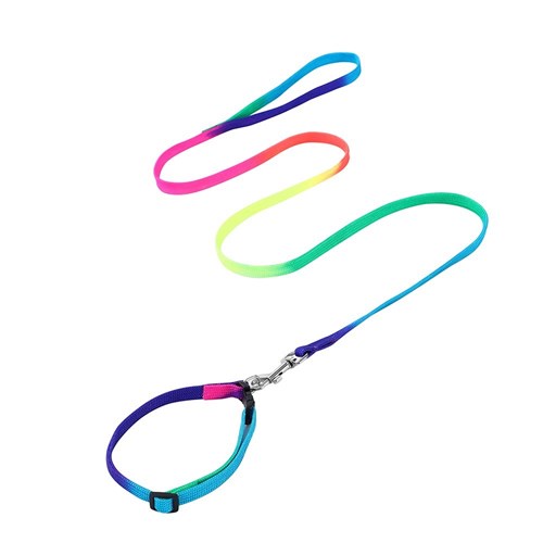 Paws & Claws Cat Collar & Lead Set