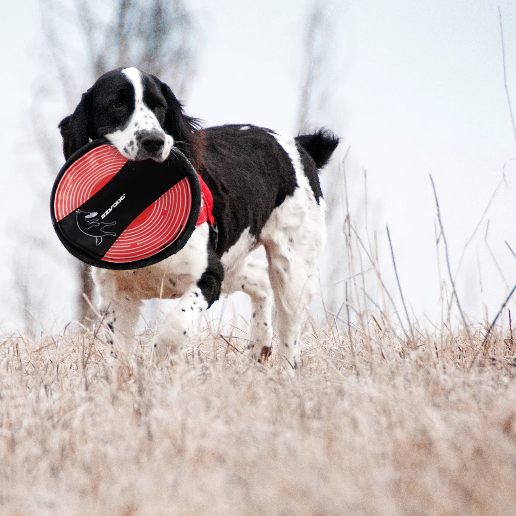 EzyDog Fido Flyer Dog Frisbee