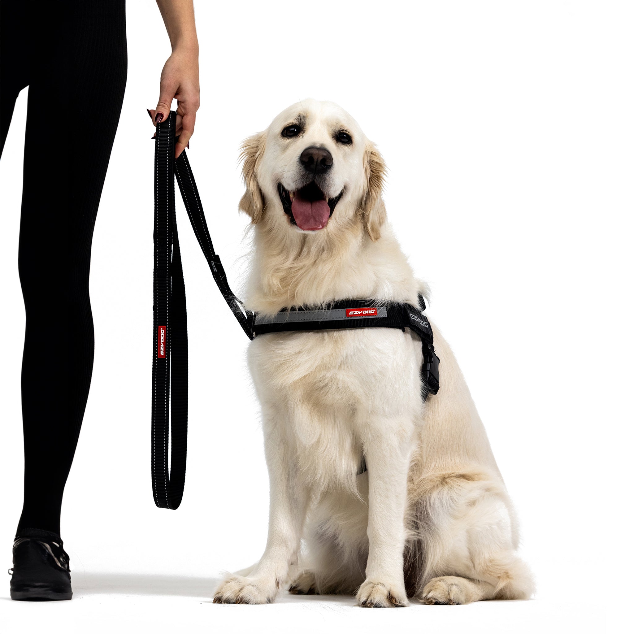 EzyDog Soft Trainer Dog Leash 180cm xx