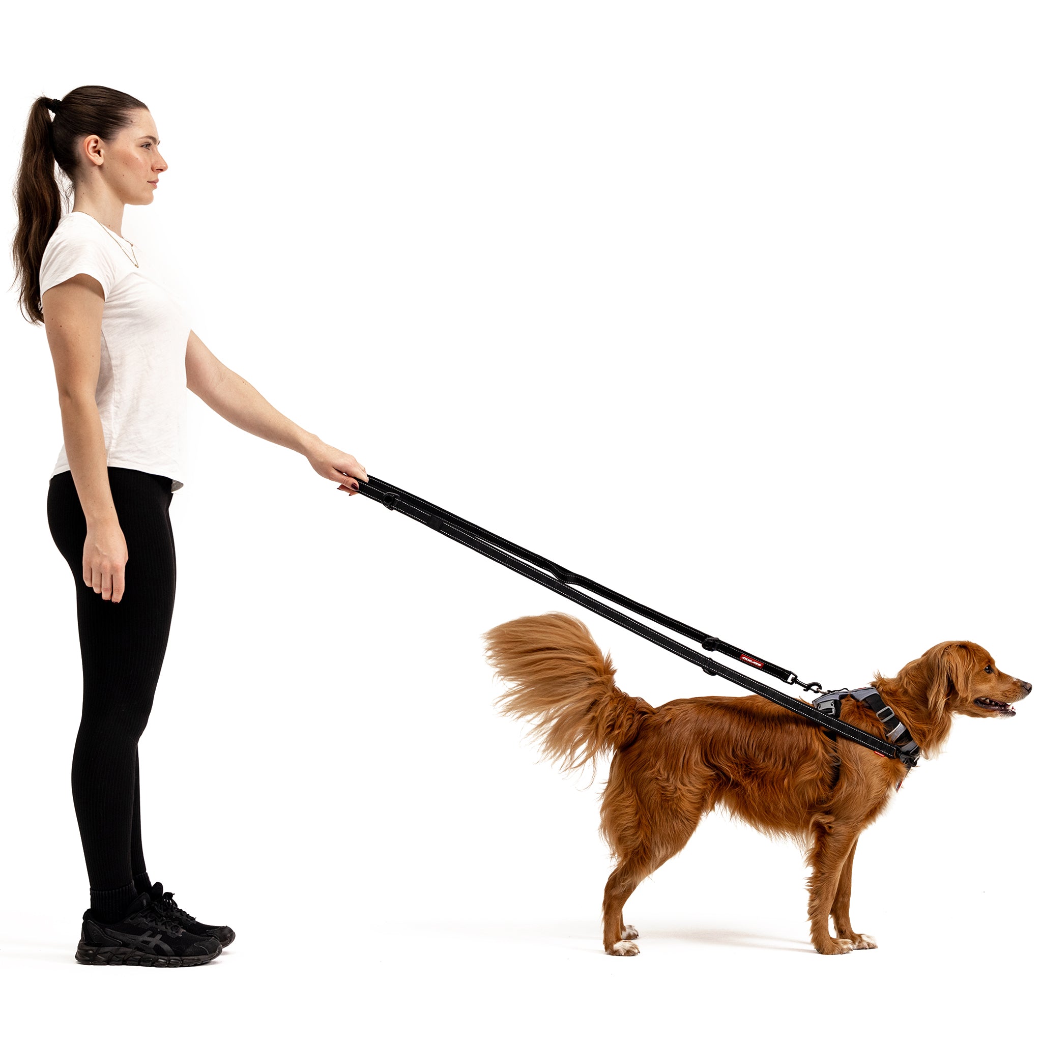 EzyDog Vario 6 Multi-Function Dog Leash