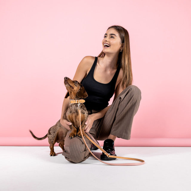 EzyDog Oxford Leather Dog Lead LITE 48" (120cm)