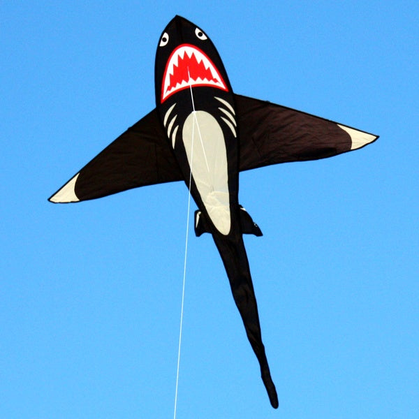 Kite - Shark!