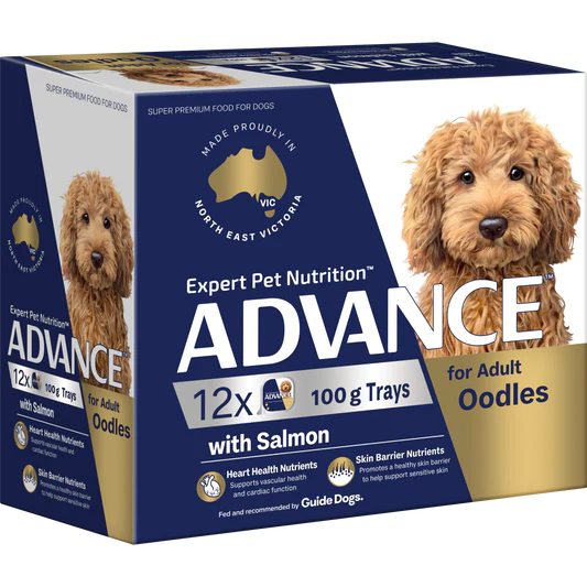 Advance Oodles Adult with Salmon Trays 12 x 100g