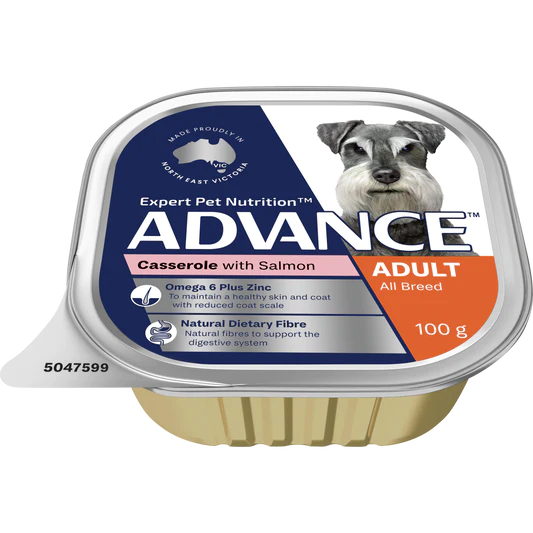 Advance Adult All Breed Salmon Casserole Trays 12 x 100g