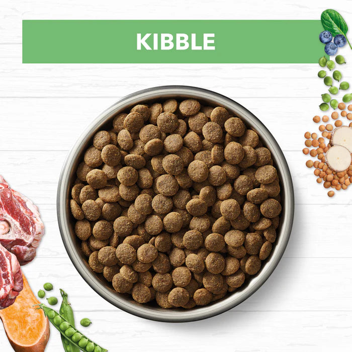 Ivory Coat Puppy Large Breed Lamb