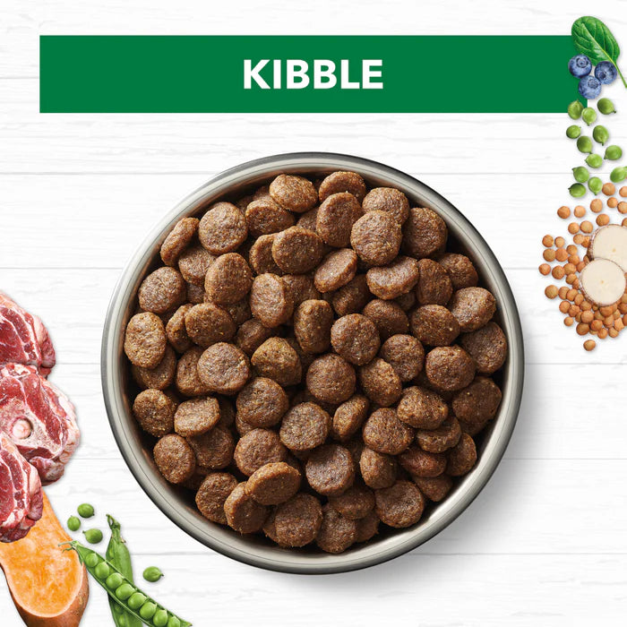 Ivory Coat Adult Dog Large Breed GF Lamb 2kg