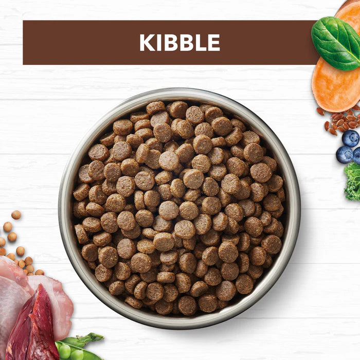 Ivory Coat Adult Cat Chicken & Kangaroo