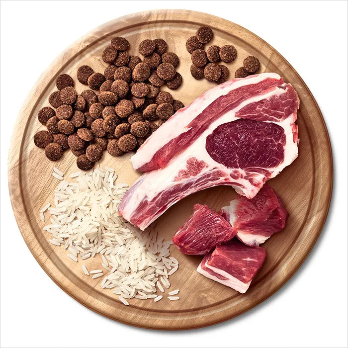 Advance Adult All Breed Dry Dog Food