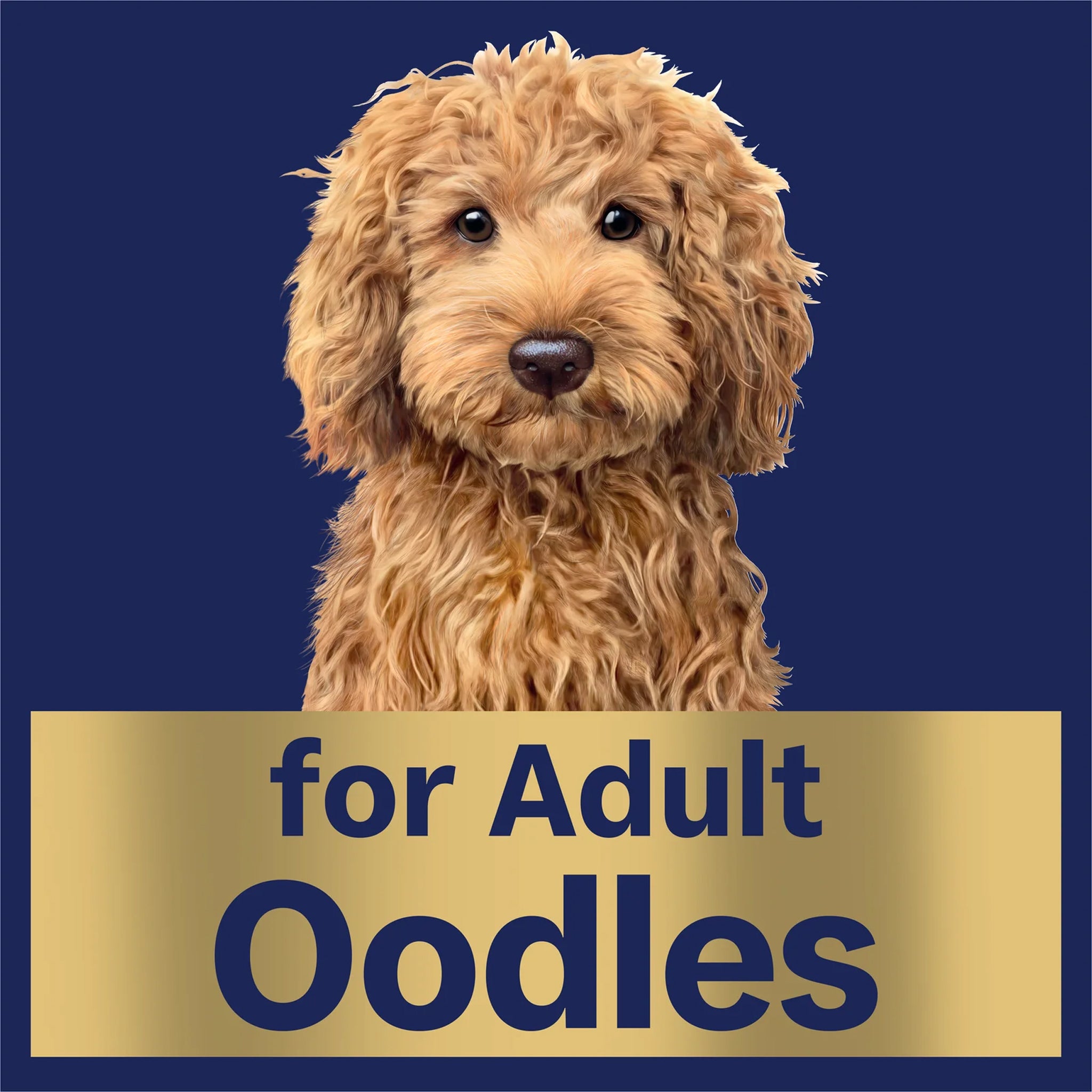 Advance Oodles Adult with Salmon Trays 12 x 100g