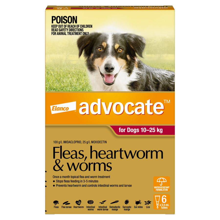 Advocate