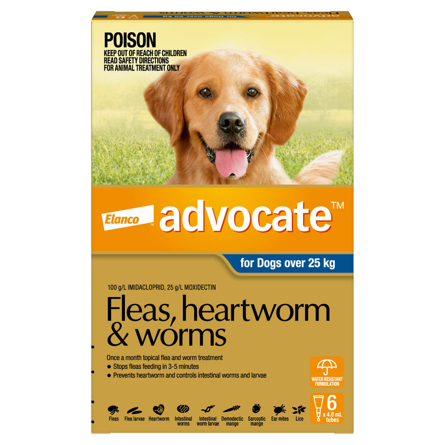 Advocate