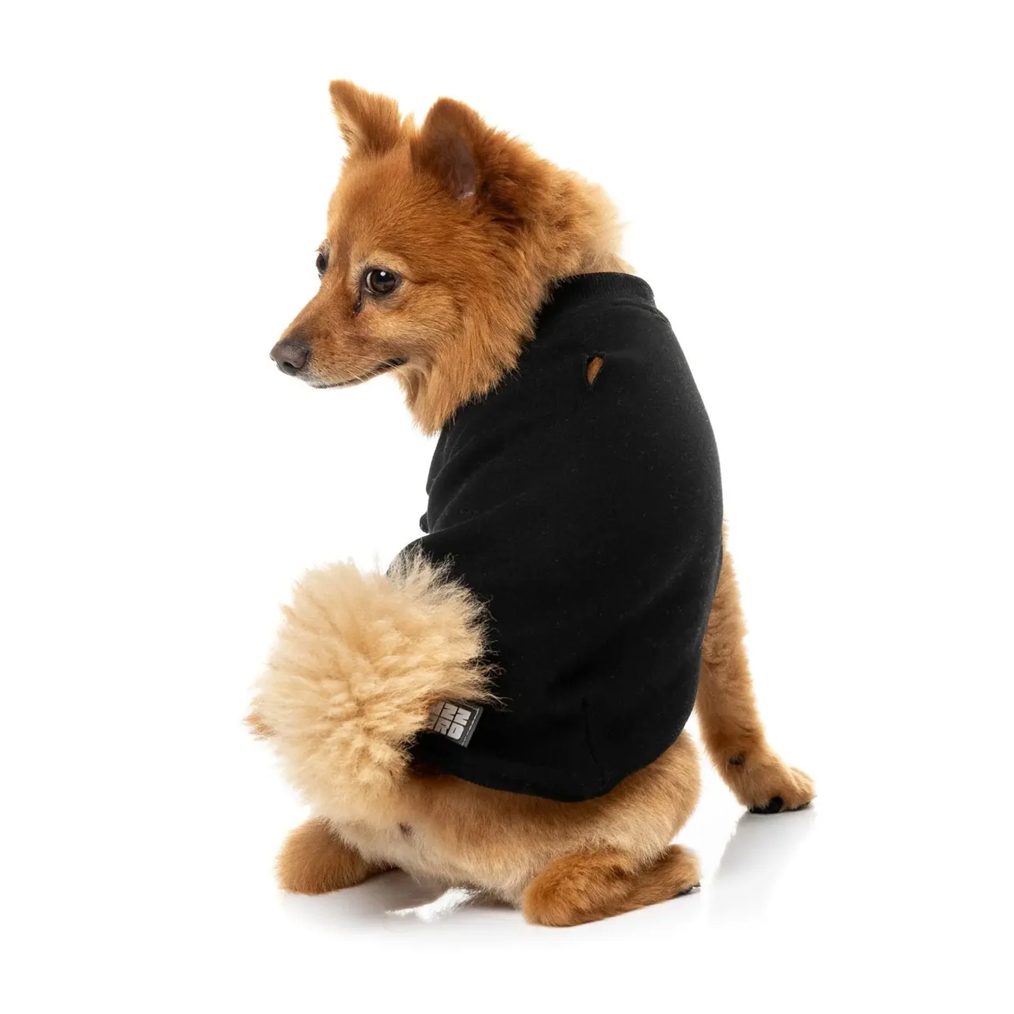 FuzzYard Allday Sweater
