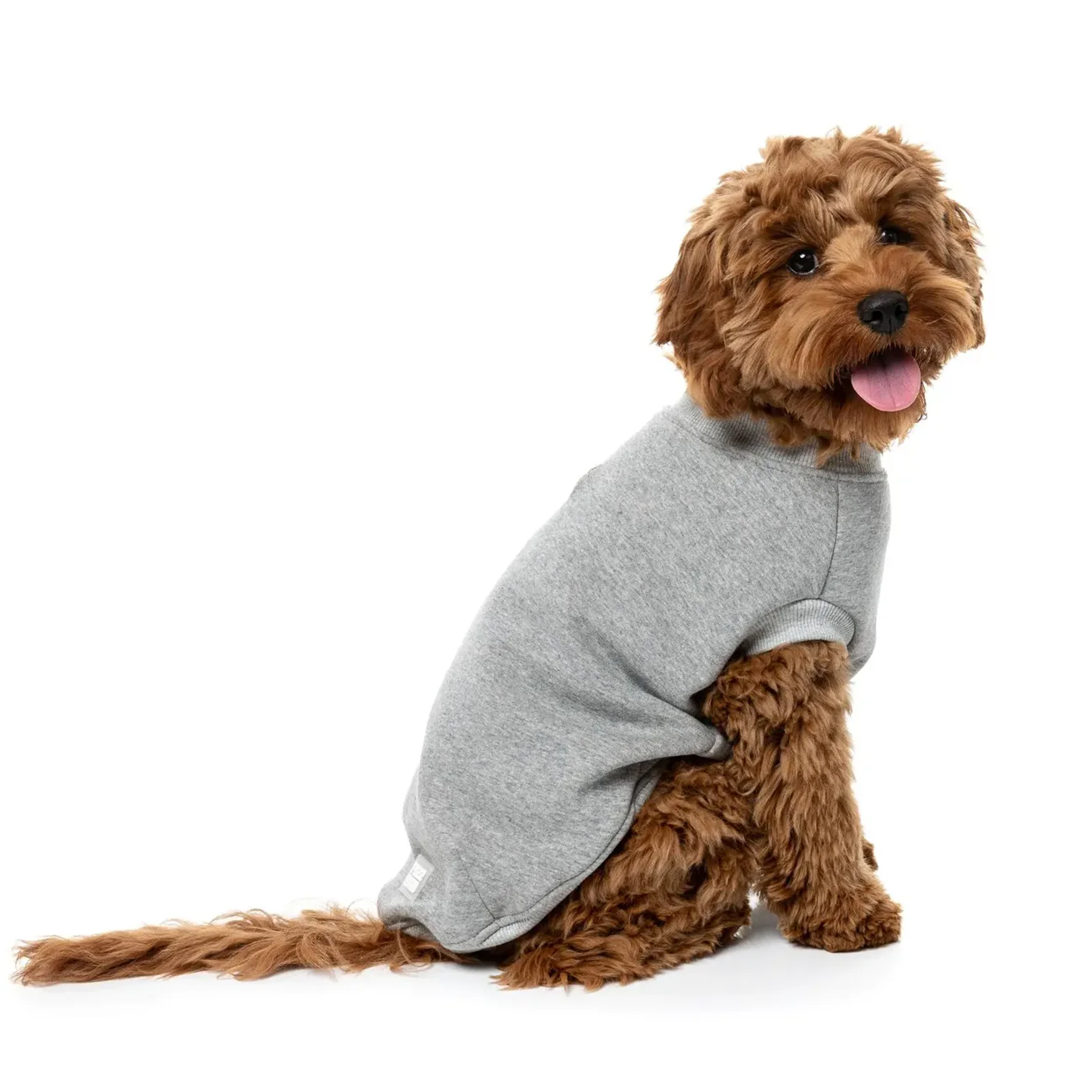 FuzzYard Allday Sweater