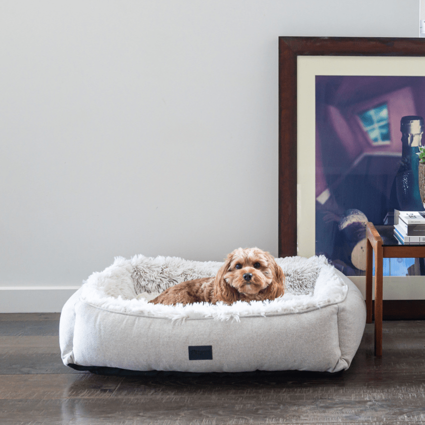 SUPERIOR Ortho Dog Lounger Zip Aspen