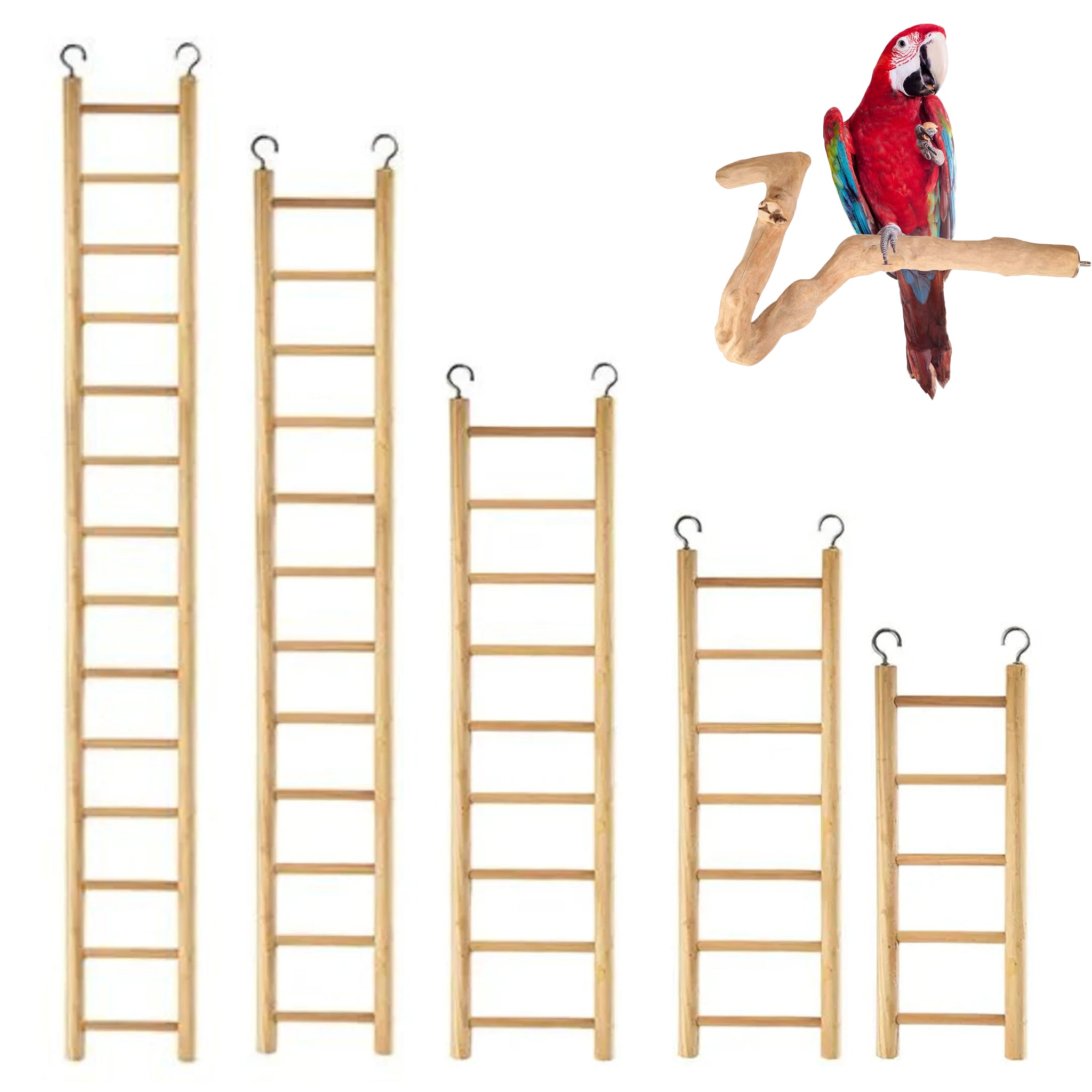 Bainbridge Bird Ladders Regular