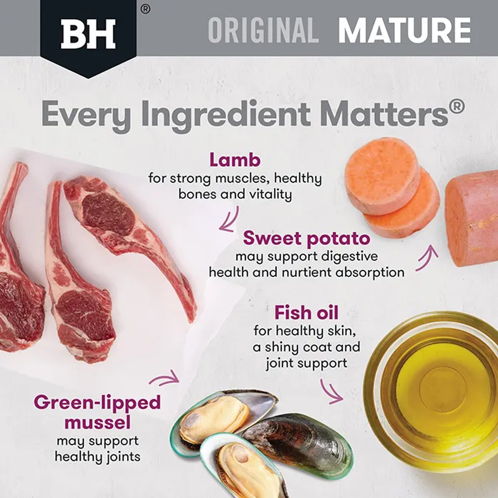 Black Hawk Mature - Lamb & Rice