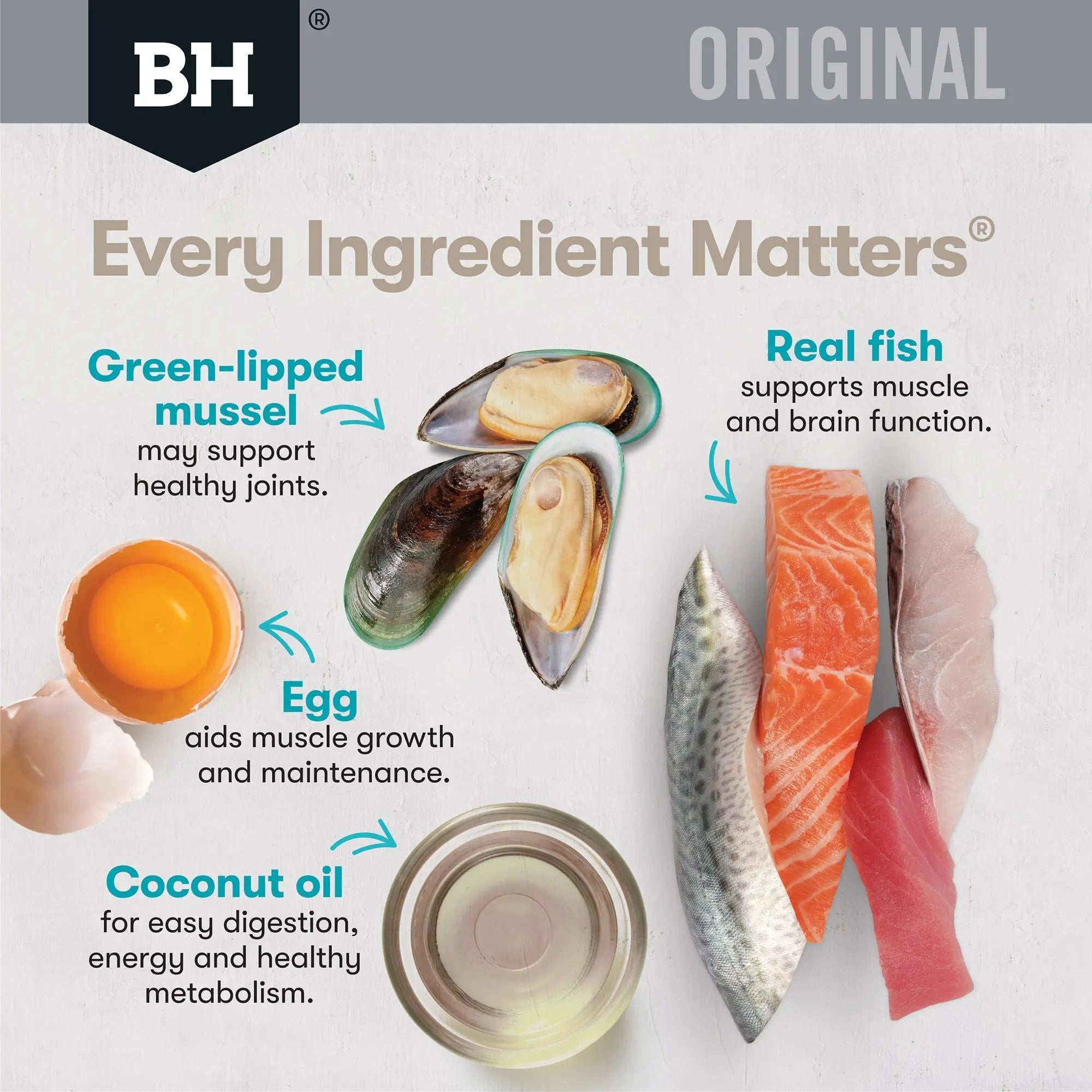 Black Hawk Adult Ocean Fish Dry Cat Food