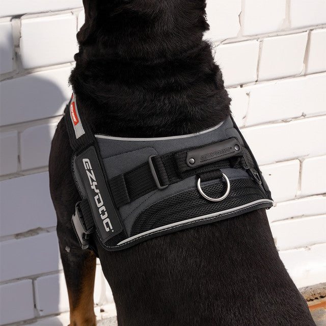EzyDog Convert Dog Harness