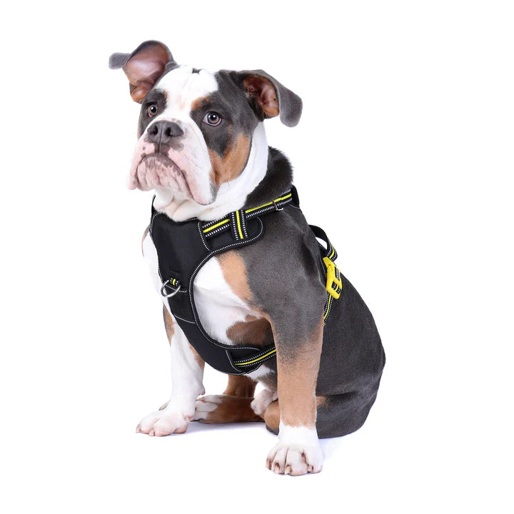 DOOG Neotech Harness
