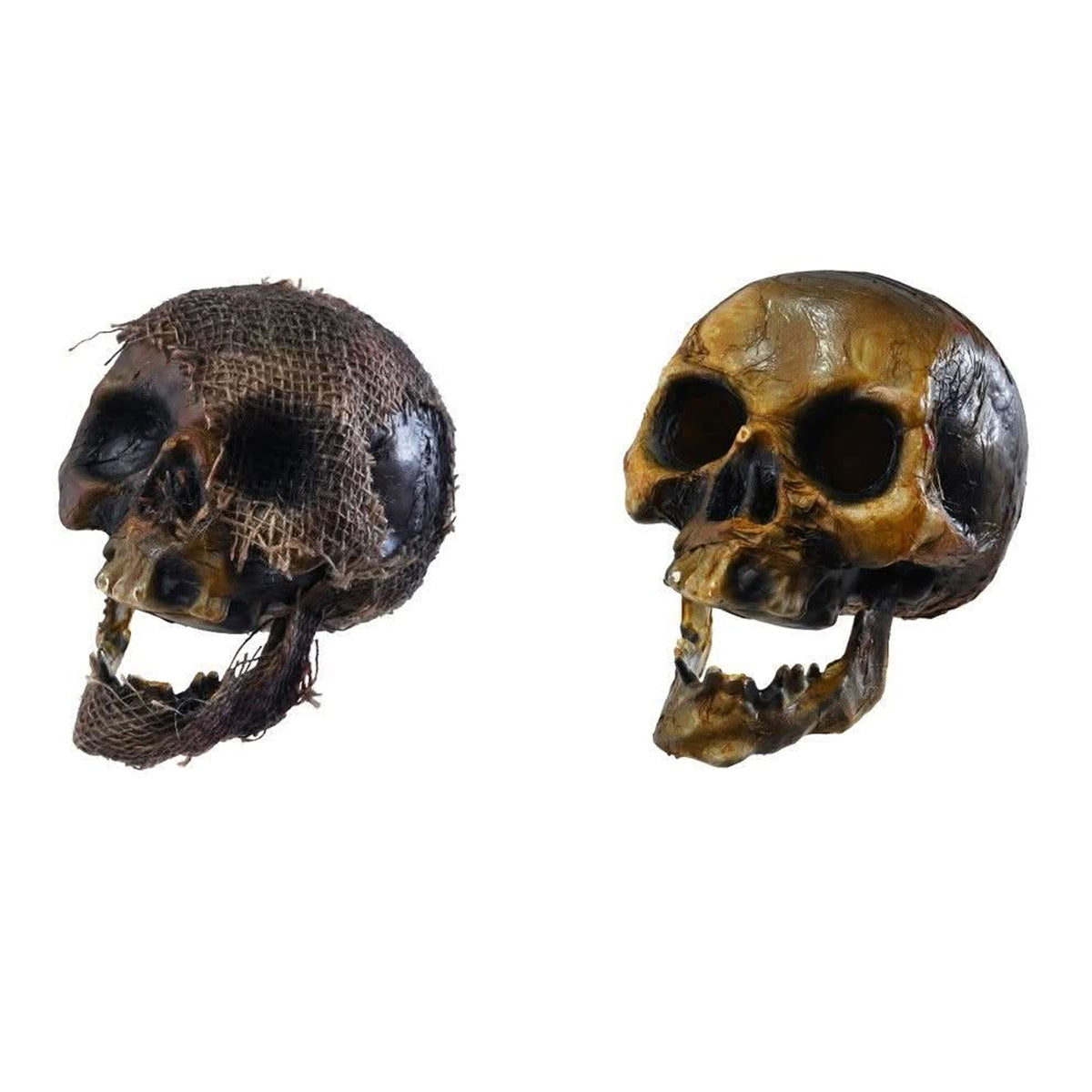 Decaying Skull 20cm Assorted