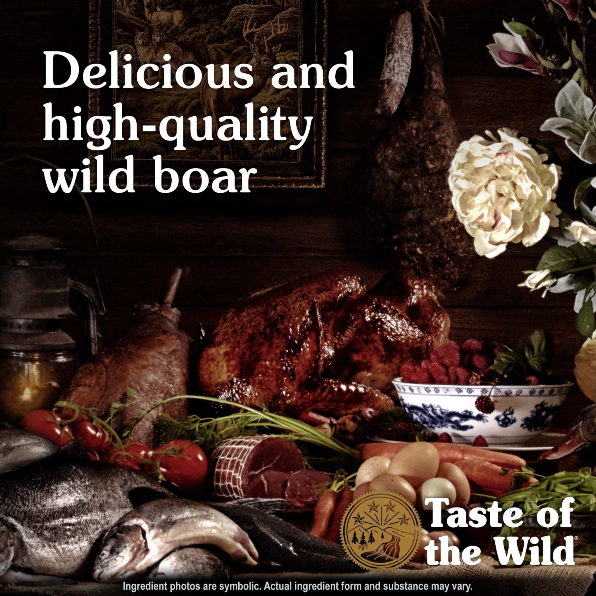 Taste Of The Wild Adult Dry Dog Food Southwest Canyon