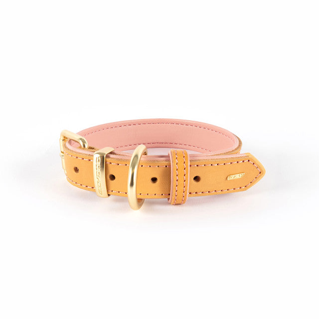 EzyDog Oxford Leather Dog Collar