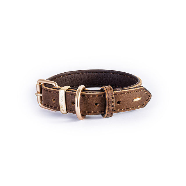 EzyDog Oxford Leather Collar
