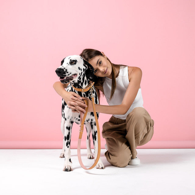 EzyDog Oxford Leather 42" Lead