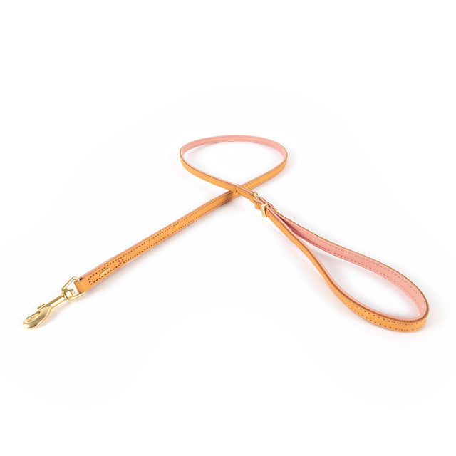 EzyDog Oxford Leather Dog Lead LITE 48" (120cm)