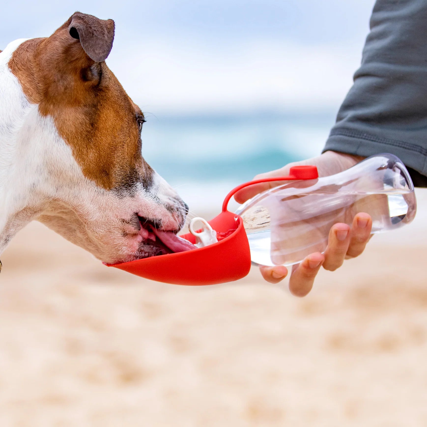 EzyDog Leaf Dog Water Bottle 600ml - Red