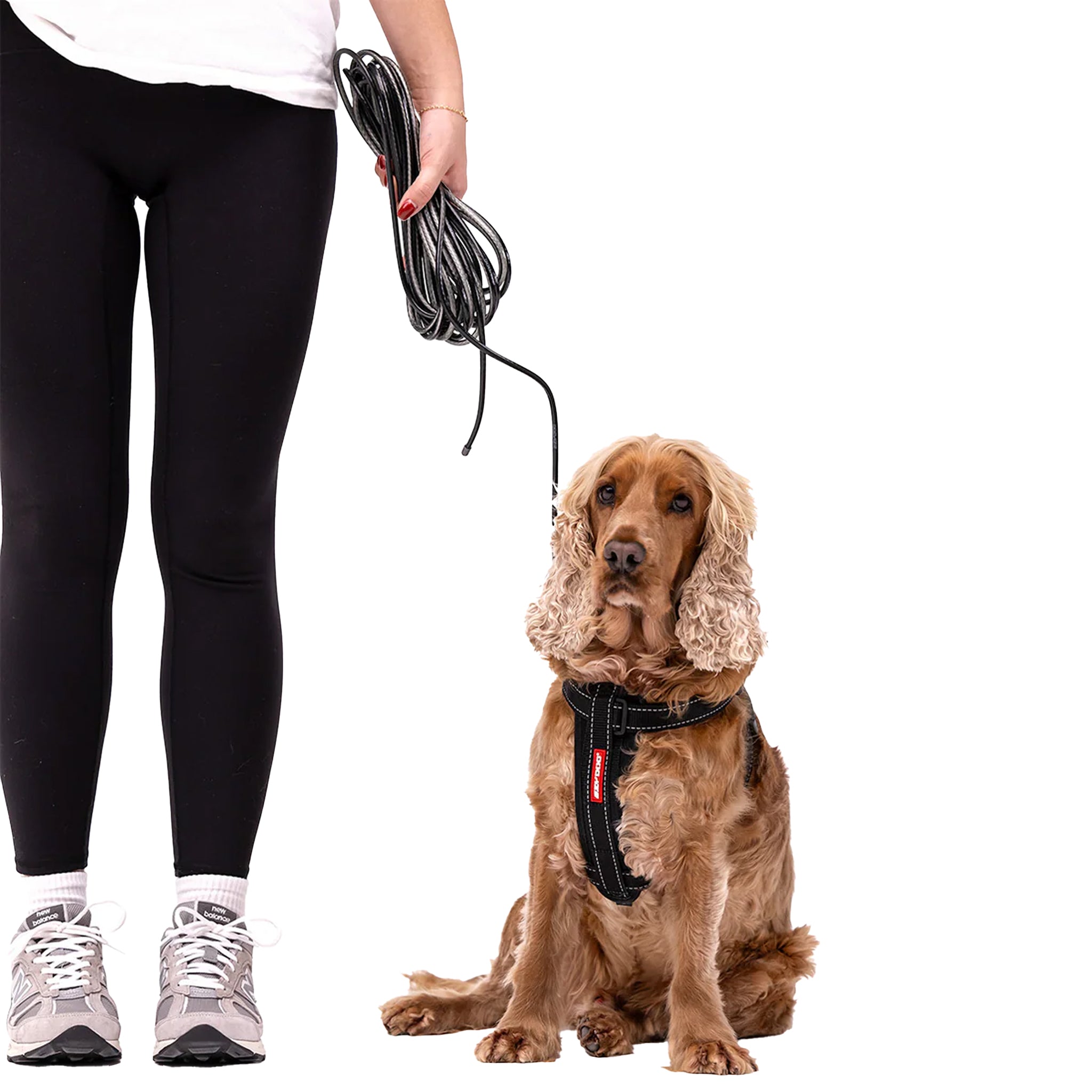 EzyDog Track n Train Slimline Dog Leash