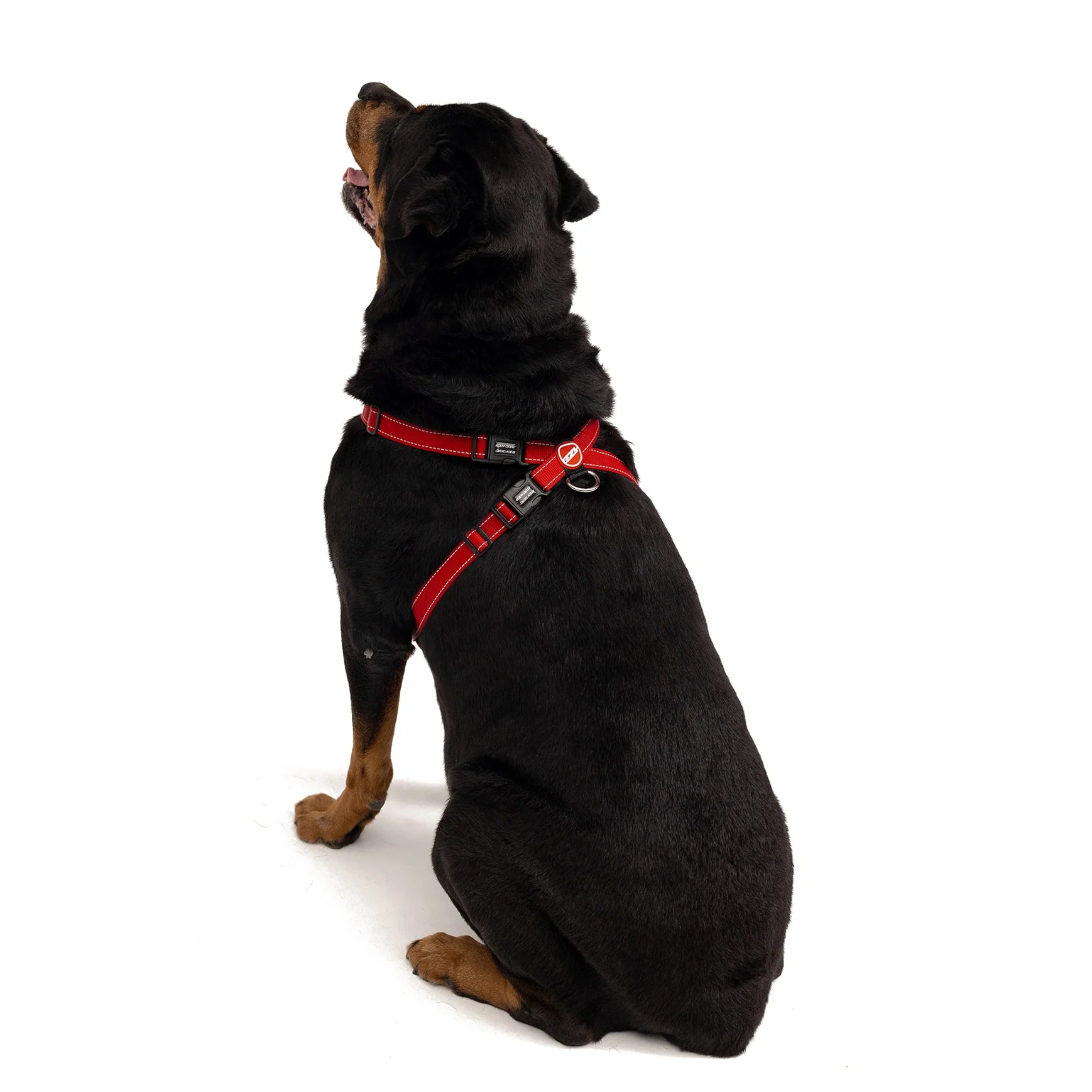 EzyDog Chest Plate Dog Harness