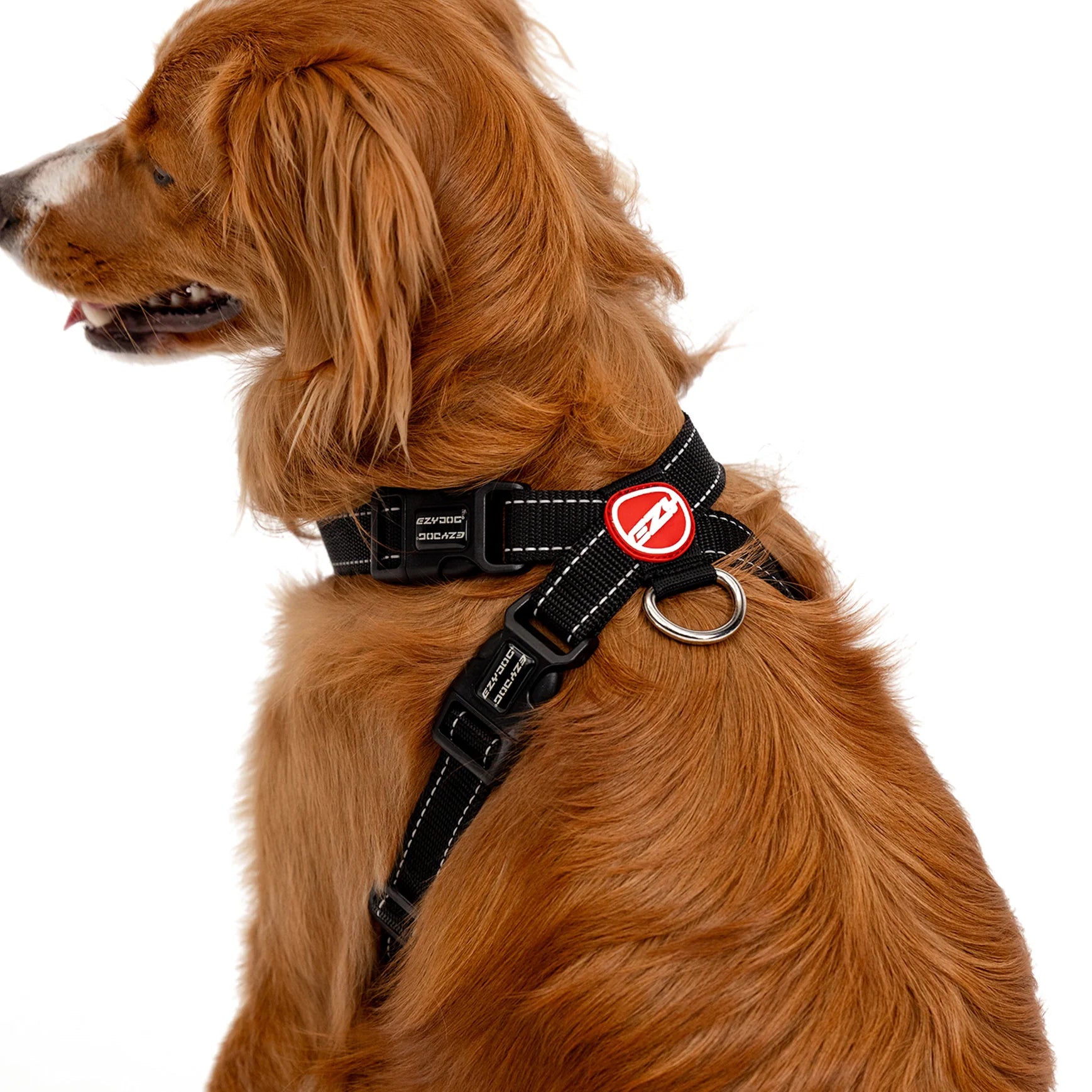 EzyDog Chest Plate Dog Harness