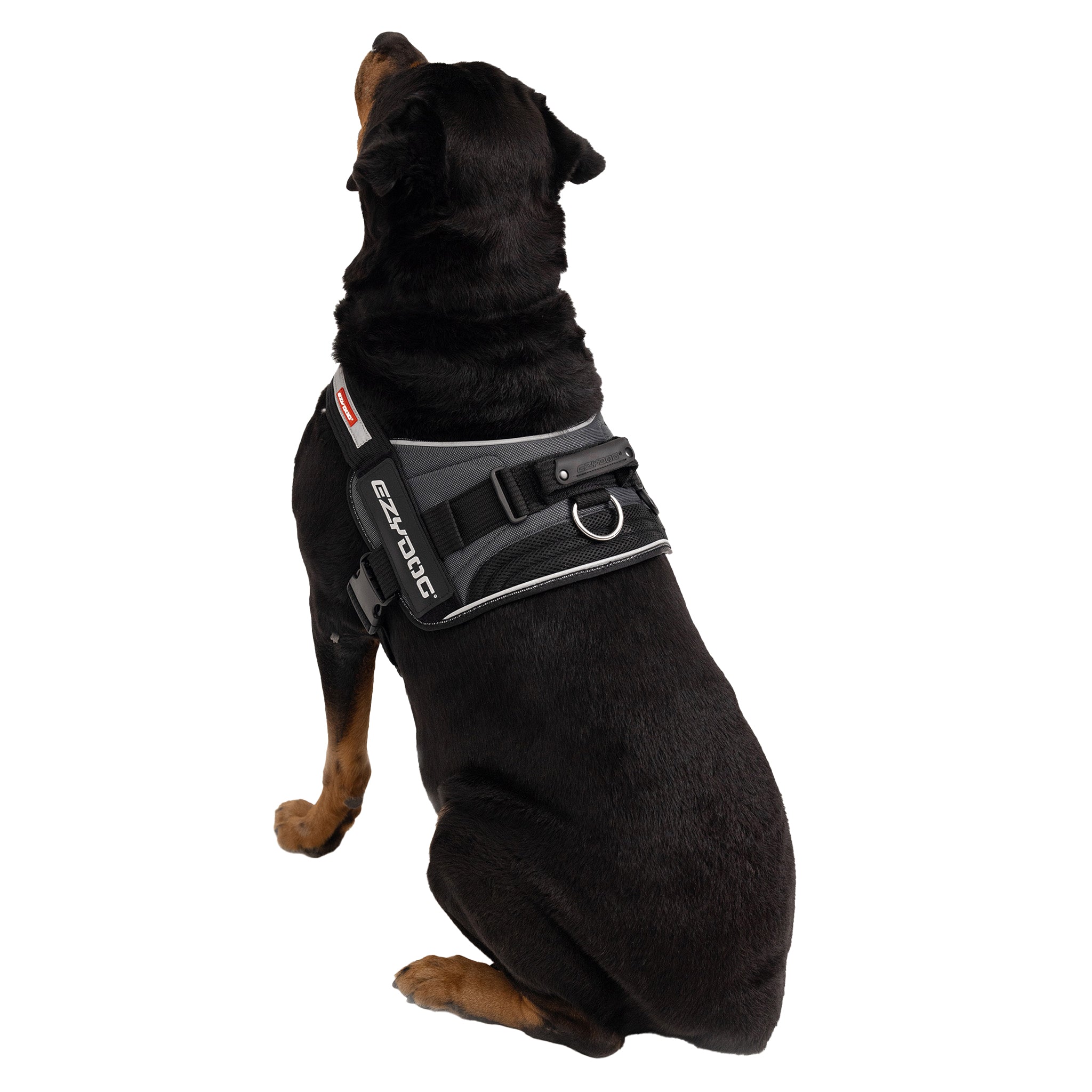 EzyDog Convert Dog Harness