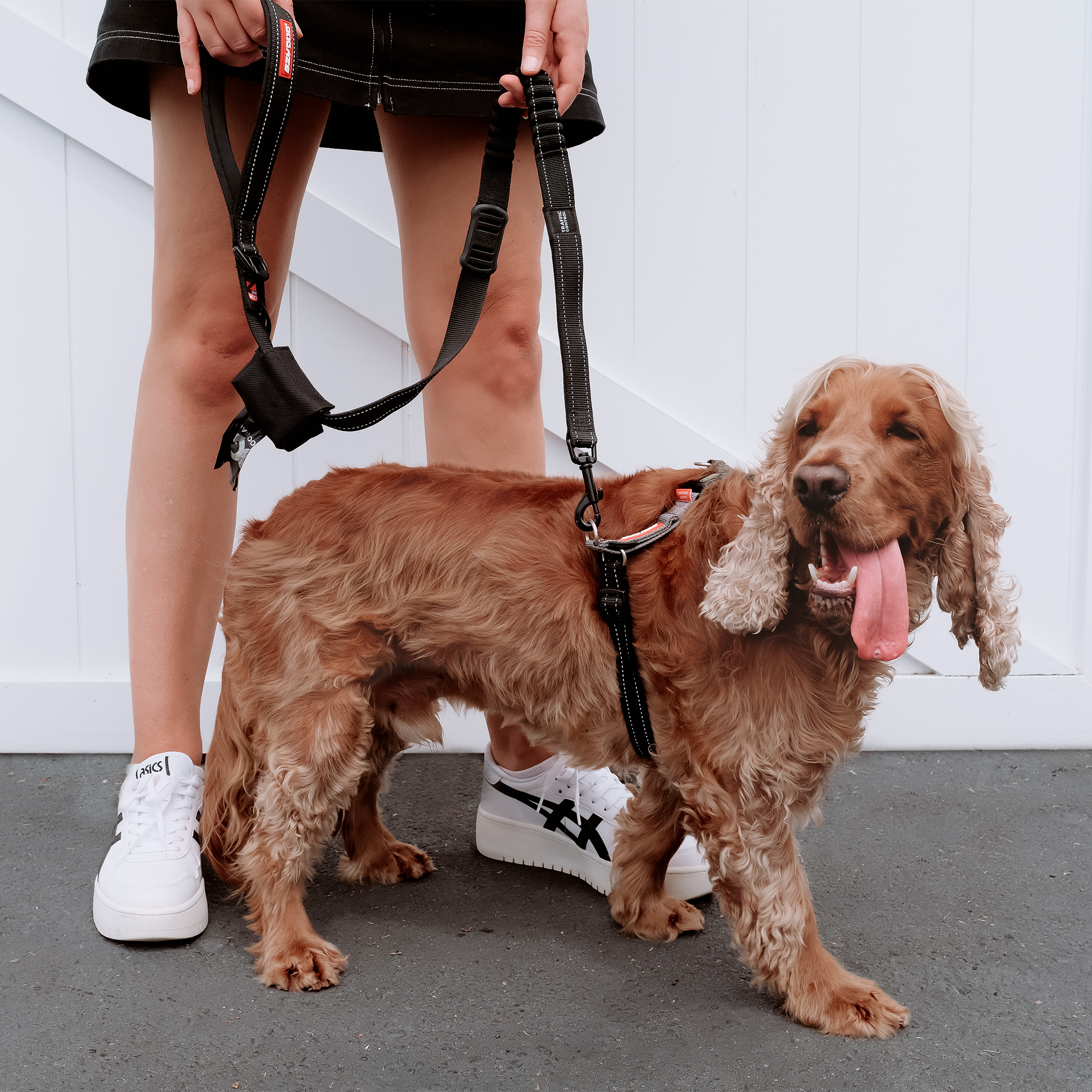 EzyDog Crosscheck Training Dog Harness