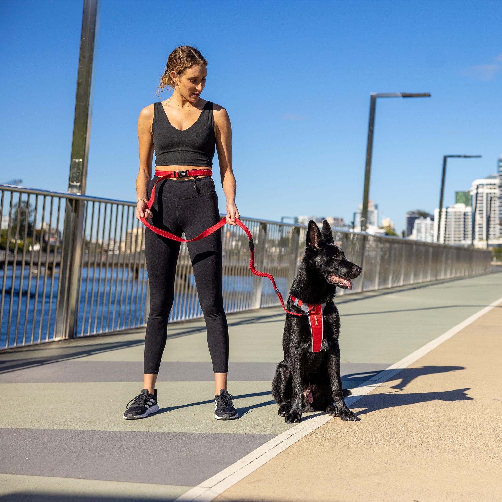 EzyDog X-Link Front Clip Dog Harness