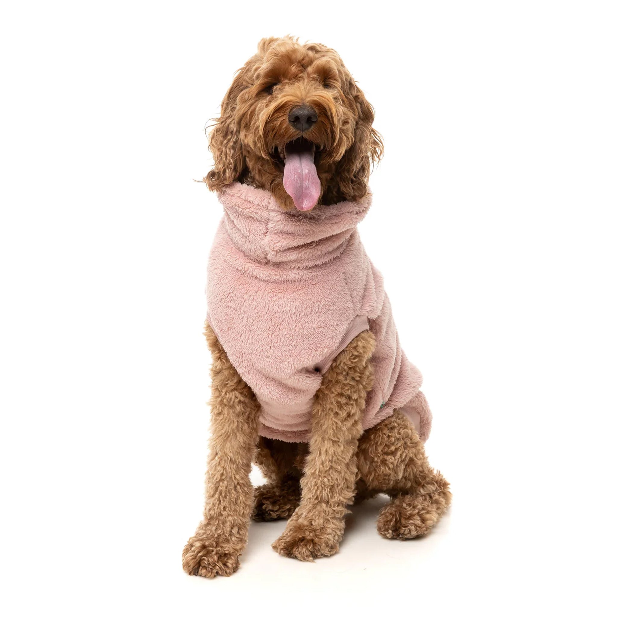FuzzYard Turtle Teddy Sweater