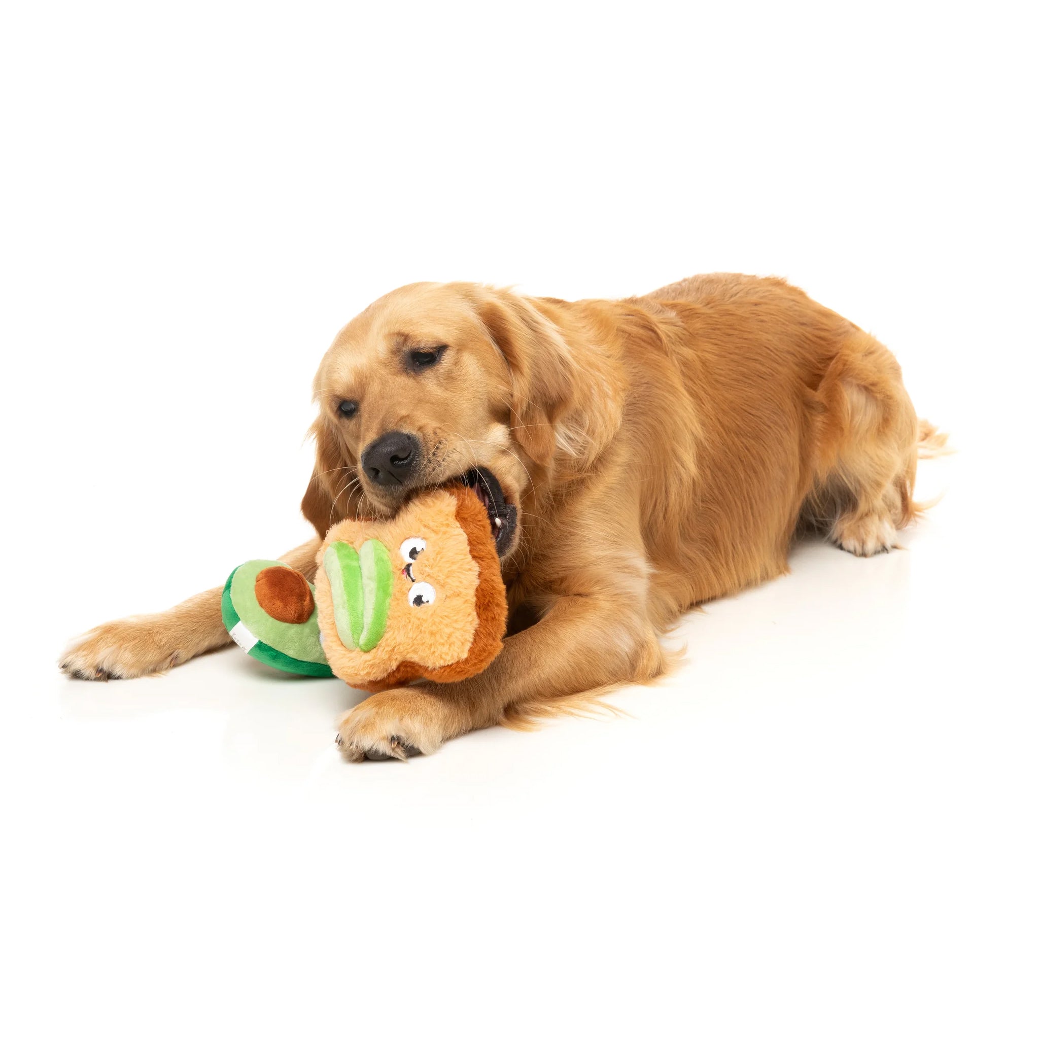 FuzzYard Breakfast Packs Dog Toys