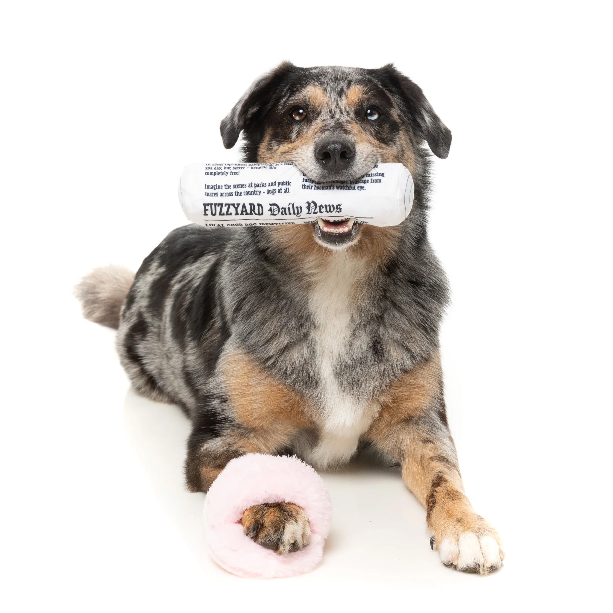 FuzzYard Breakfast Packs Dog Toys