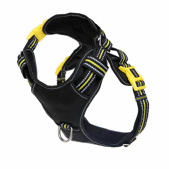 DOOG Neotech Harness