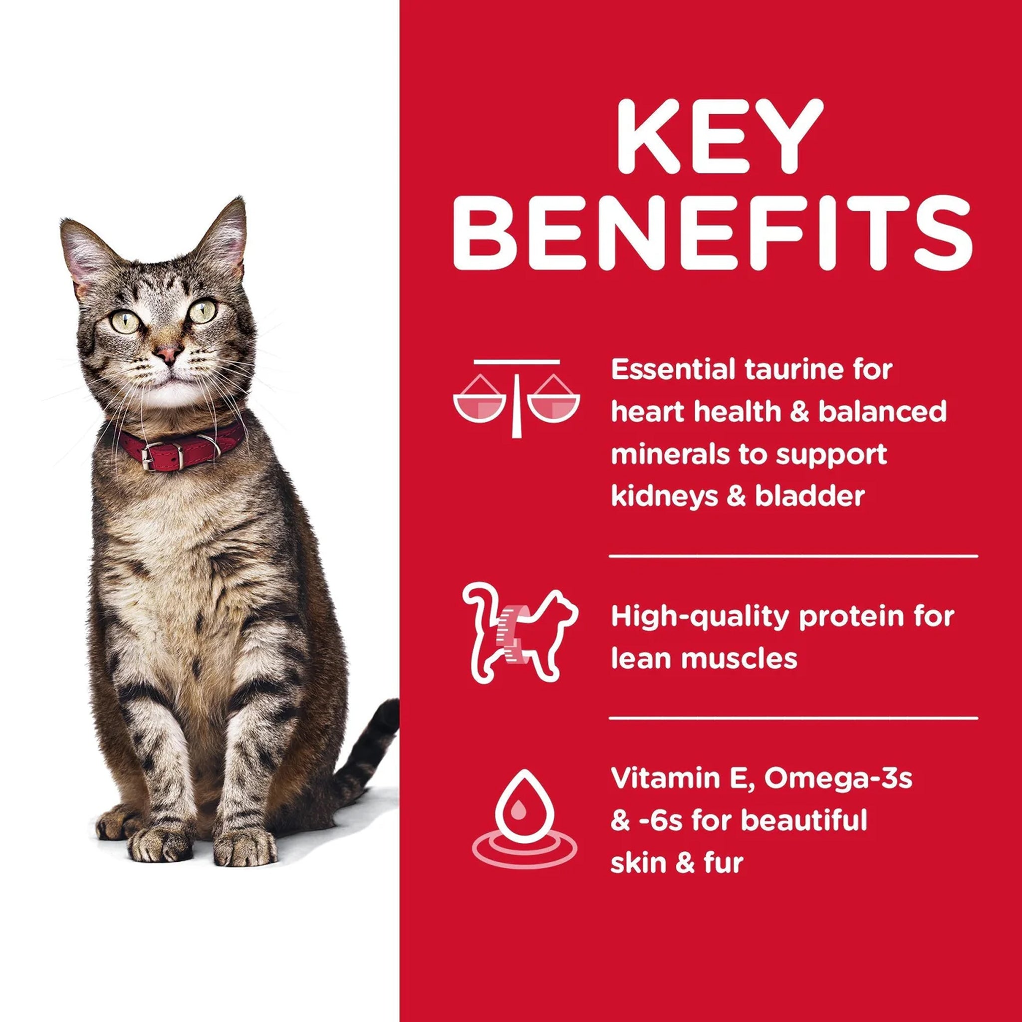 Hill’s Science Diet Adult Dry Cat Food – 4kg, 6kg & 10kg