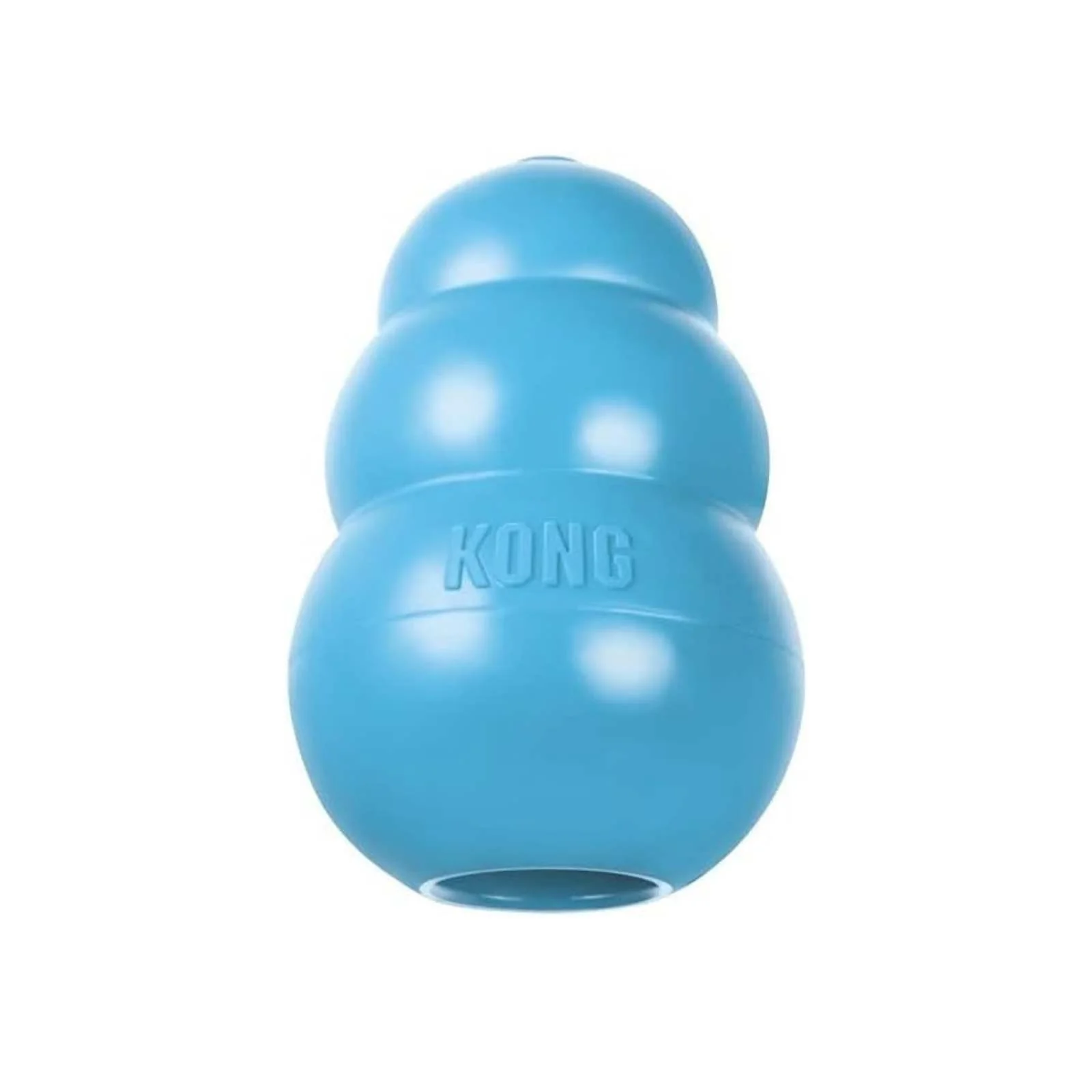 KONG Puppy