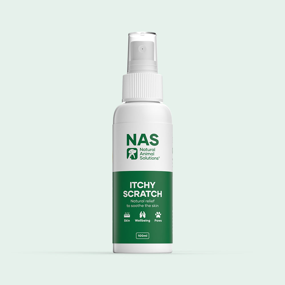 NAS Itchy Scratch 100ml