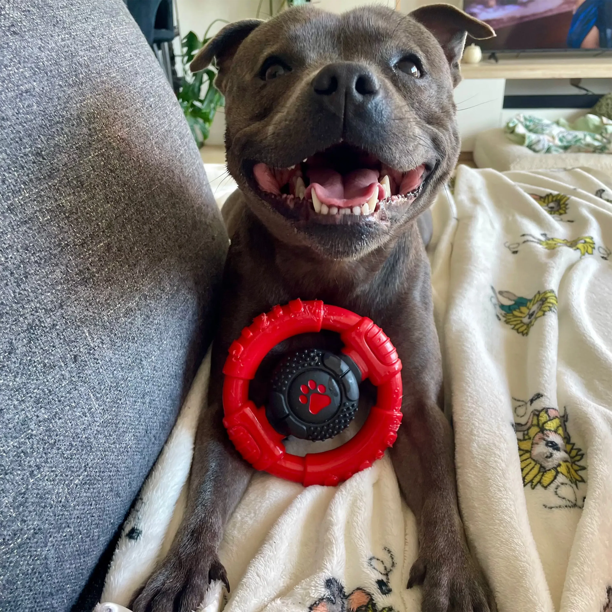 Happy Staffy Power Chew Wheel