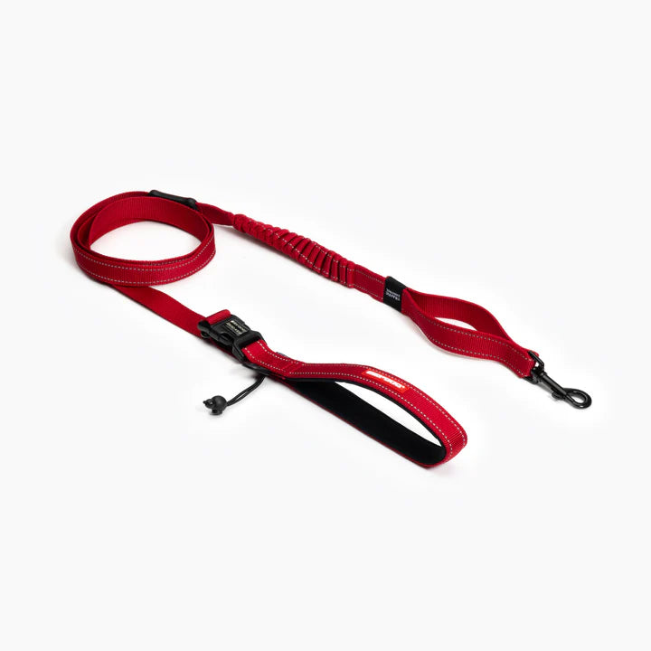 EzyDog Leash Road Runner
