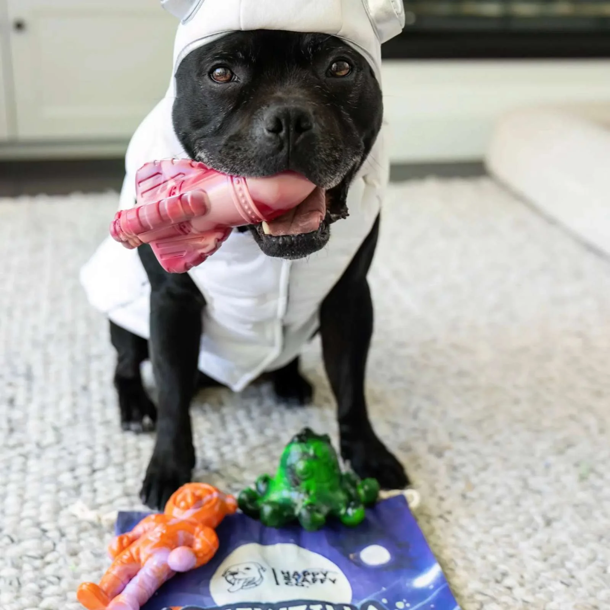 Happy Staffy Rocket