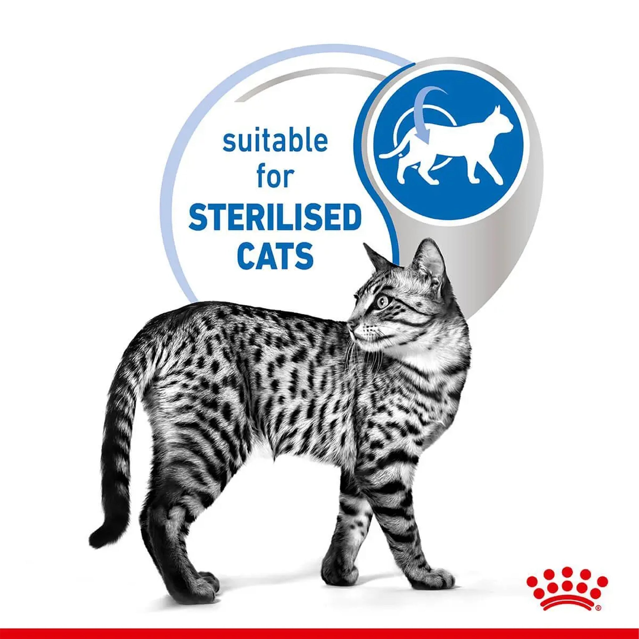 Royal Canin Cat Indoor Gravy 85gx12