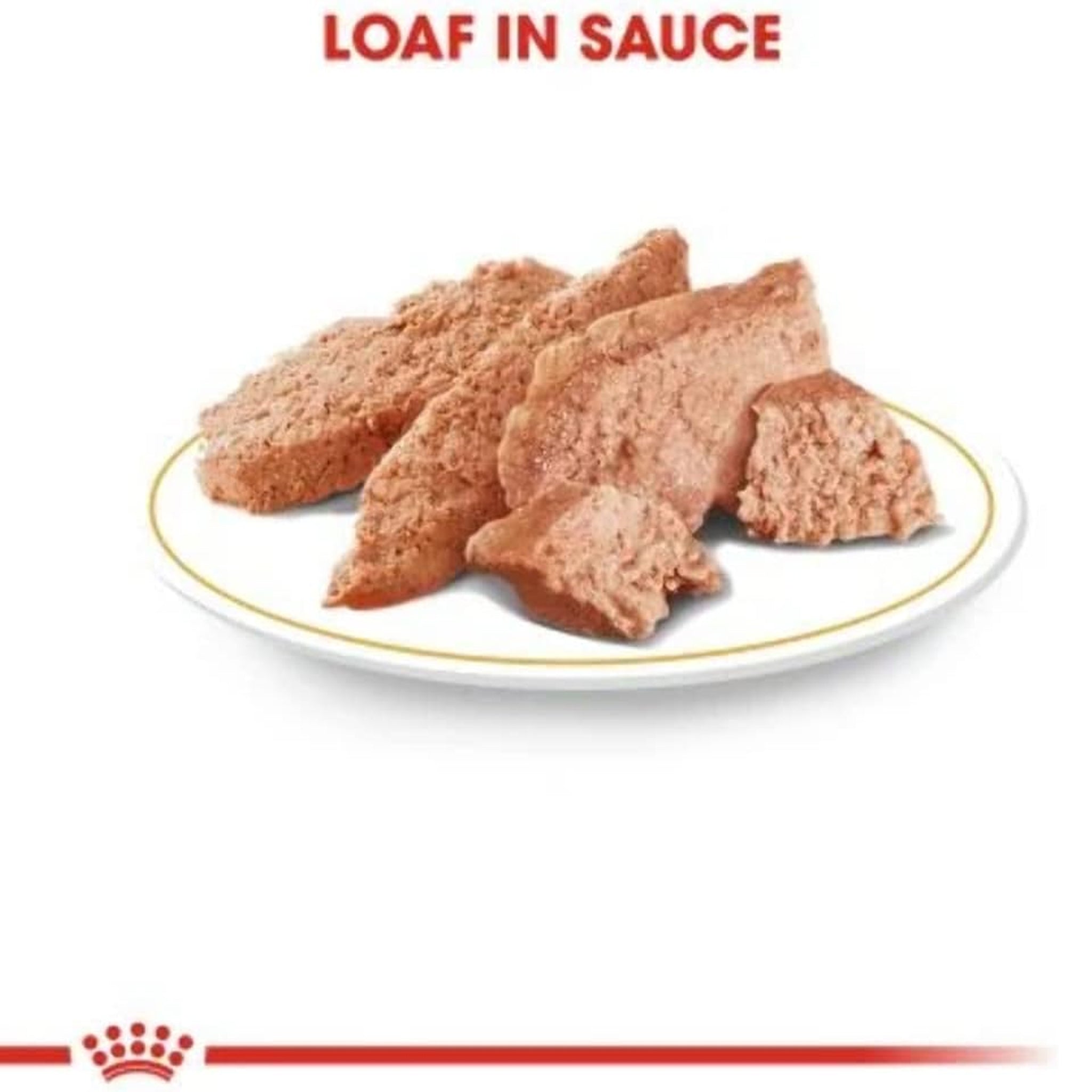 Royal Canin Adult Dachshund Wet Dog Food Pouches 12 x 85g