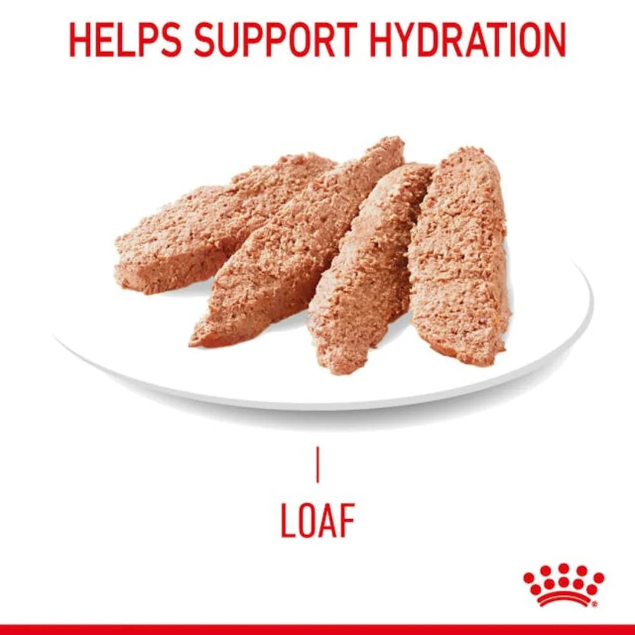 Royal Canin Digestive Care Loaf 12 x 85g