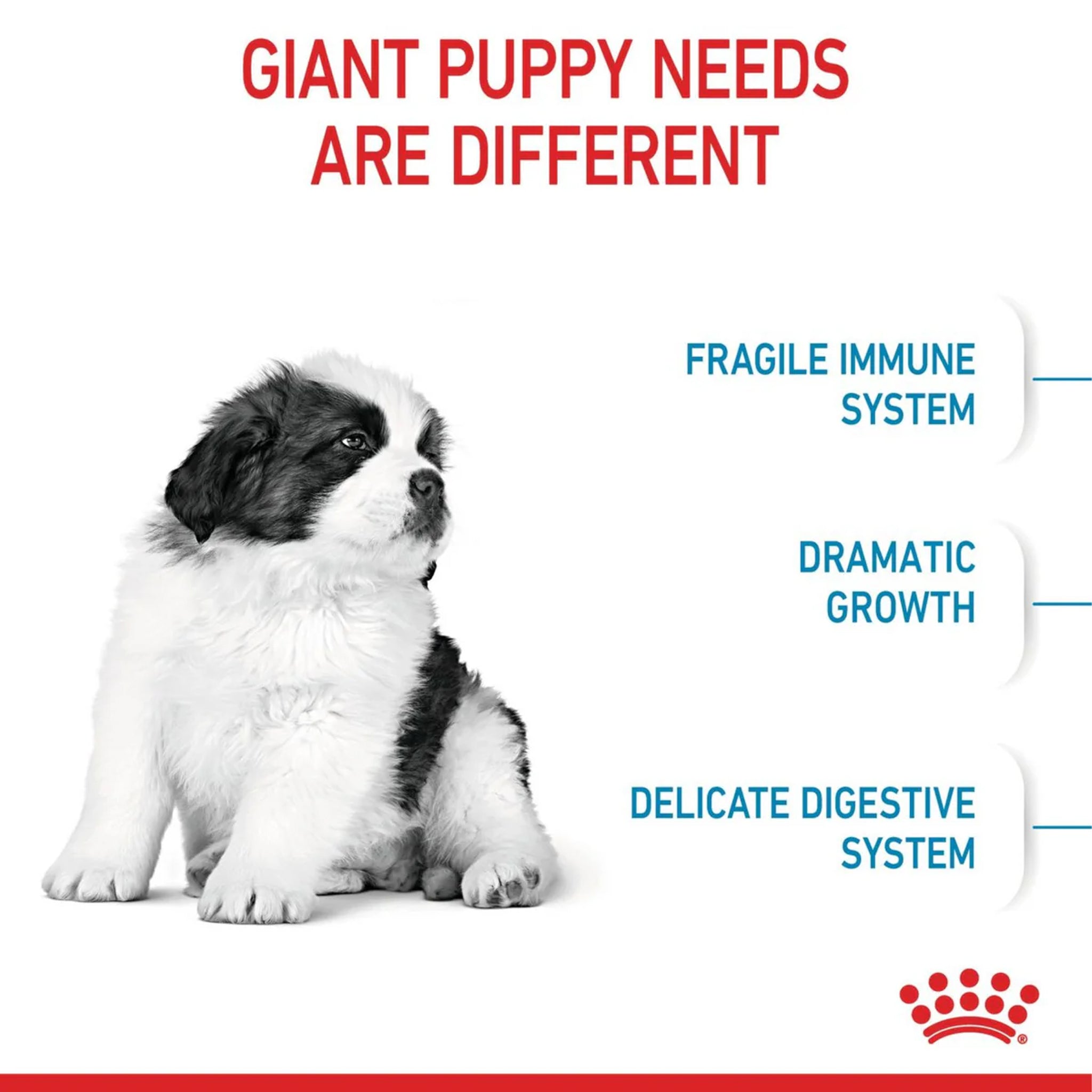 Royal Canin Giant Puppy 15kg